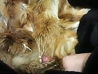 come (cum) on (in) fur coat fur gay cum